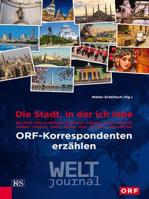 cover image of Die Stadt, in der ich lebe